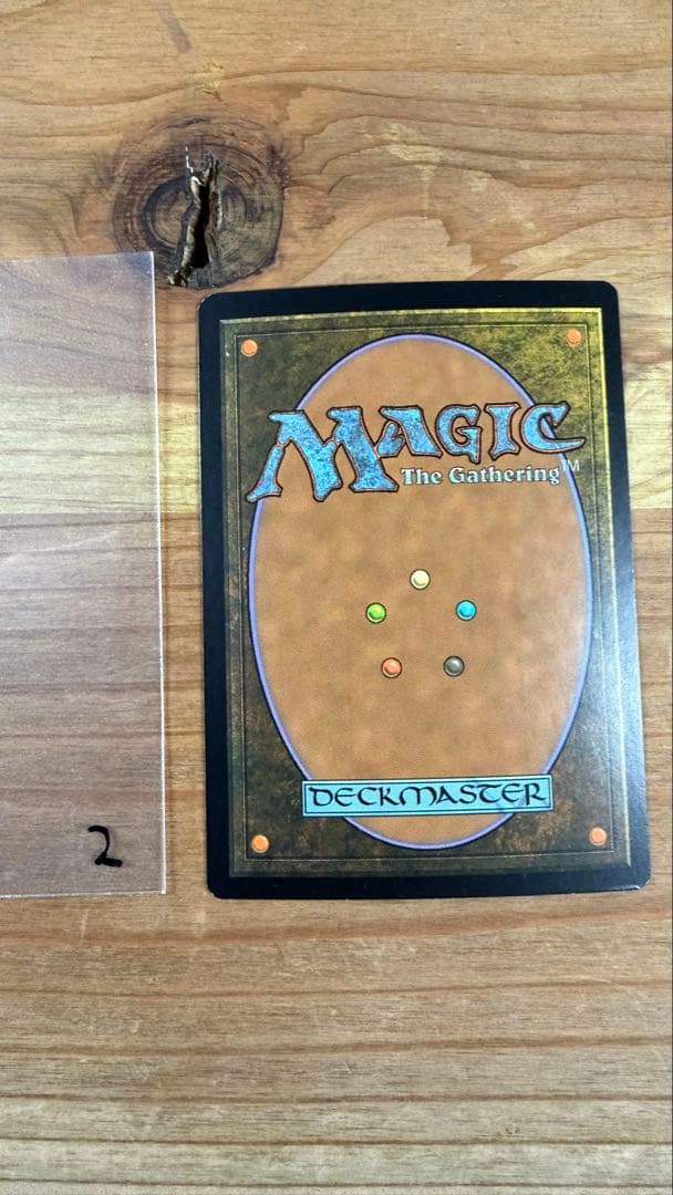 実物提示教育 foil 英語 3枚 ジャッジ褒賞