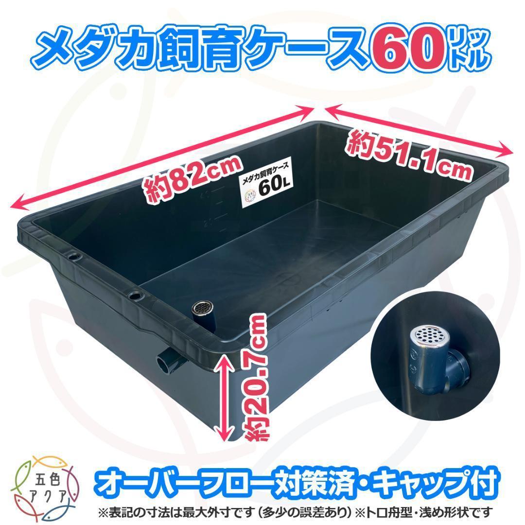 【新仕様】メダカ飼育ケース 60㍑トロ舟x3個 オーバーフロー加工済 金魚飼育容