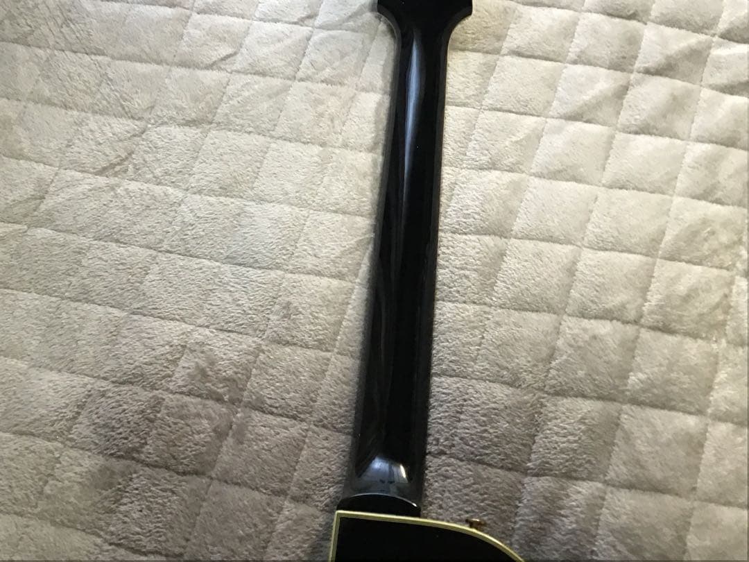 Epiphone Les Paul customハードケース付