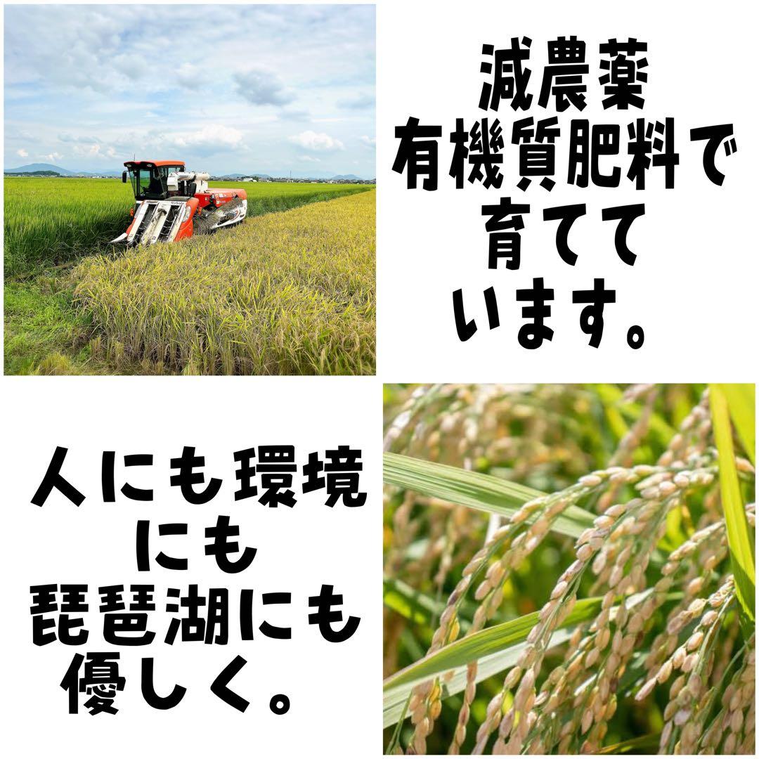 【令和7年度新米】近江米 ミルキークイーン 20kg