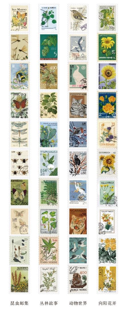 セール　集郵博物館シリーズ　和紙マスキングテープ　マステ8本