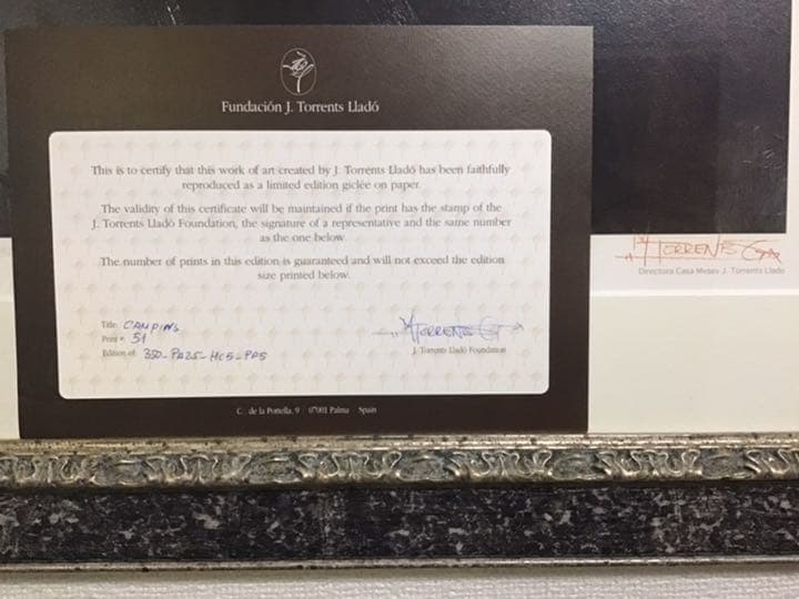 トレンツ・リャド　　トリニダッド・カンピンⅡ