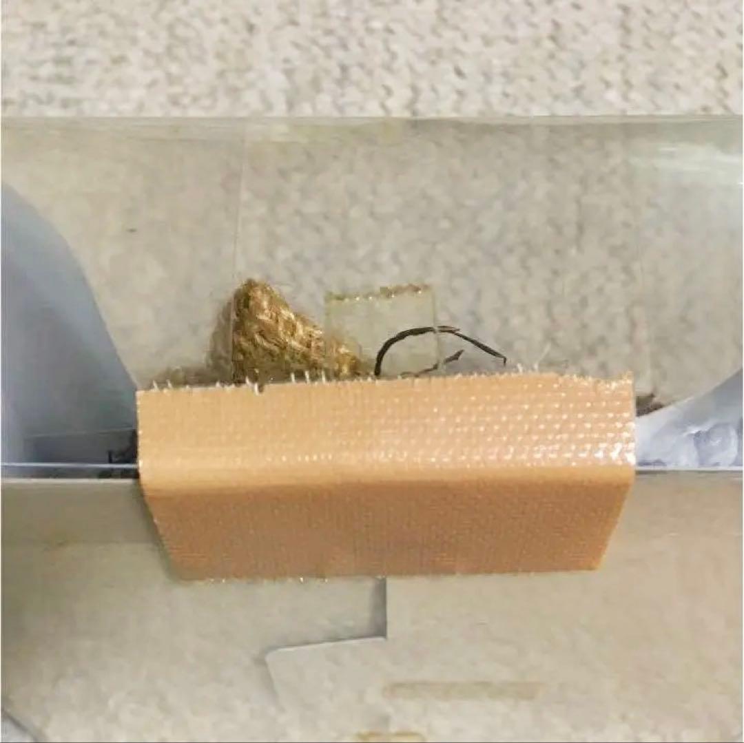 となりのトトロ リース ジブリ