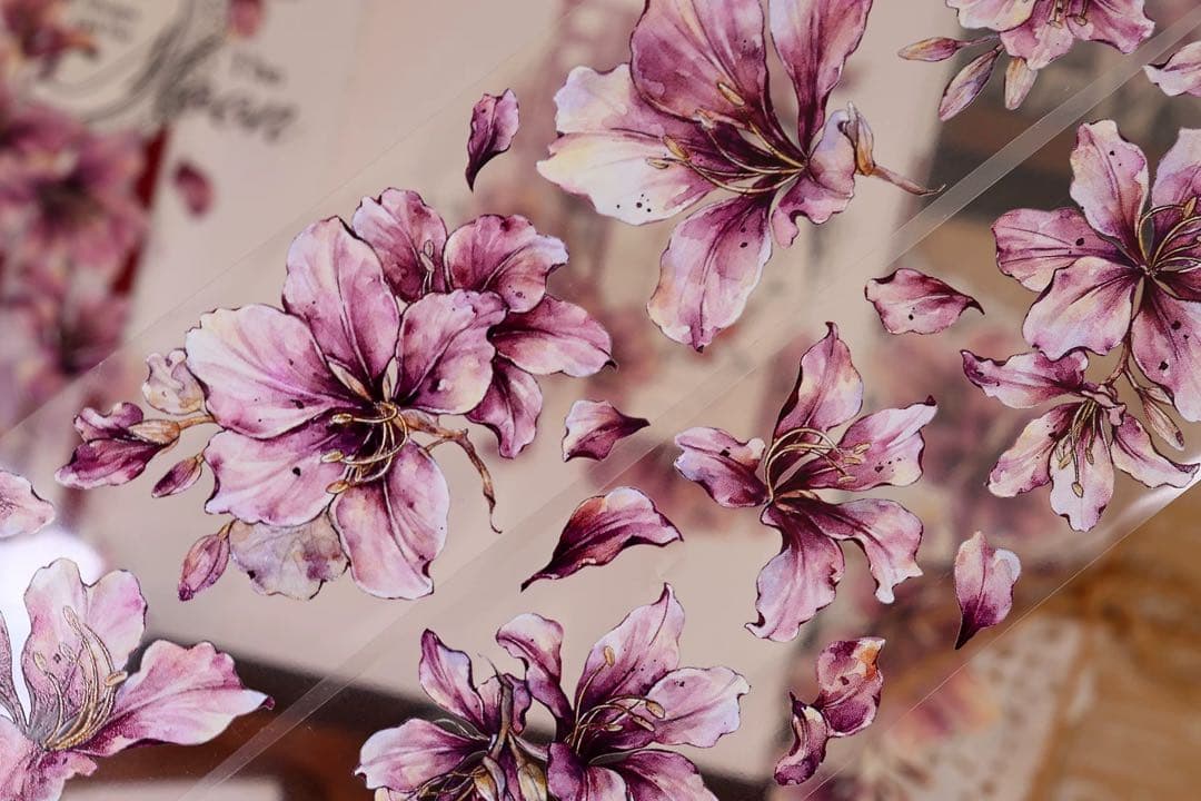 小白家文創《紫荆花》海外マスキングテープ　マステ 【2510】