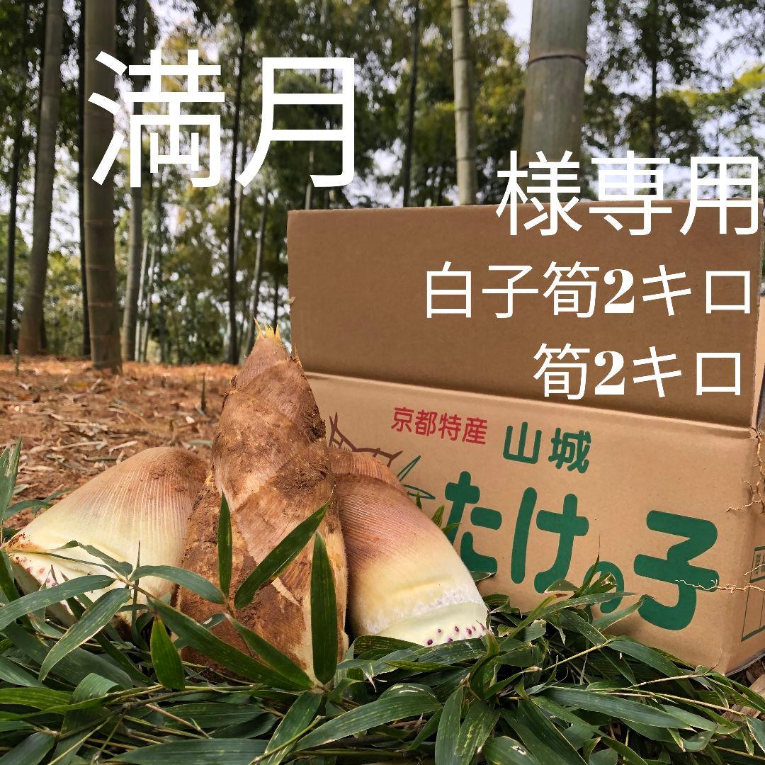 満月 白子筍2キロ筍2キロ クール