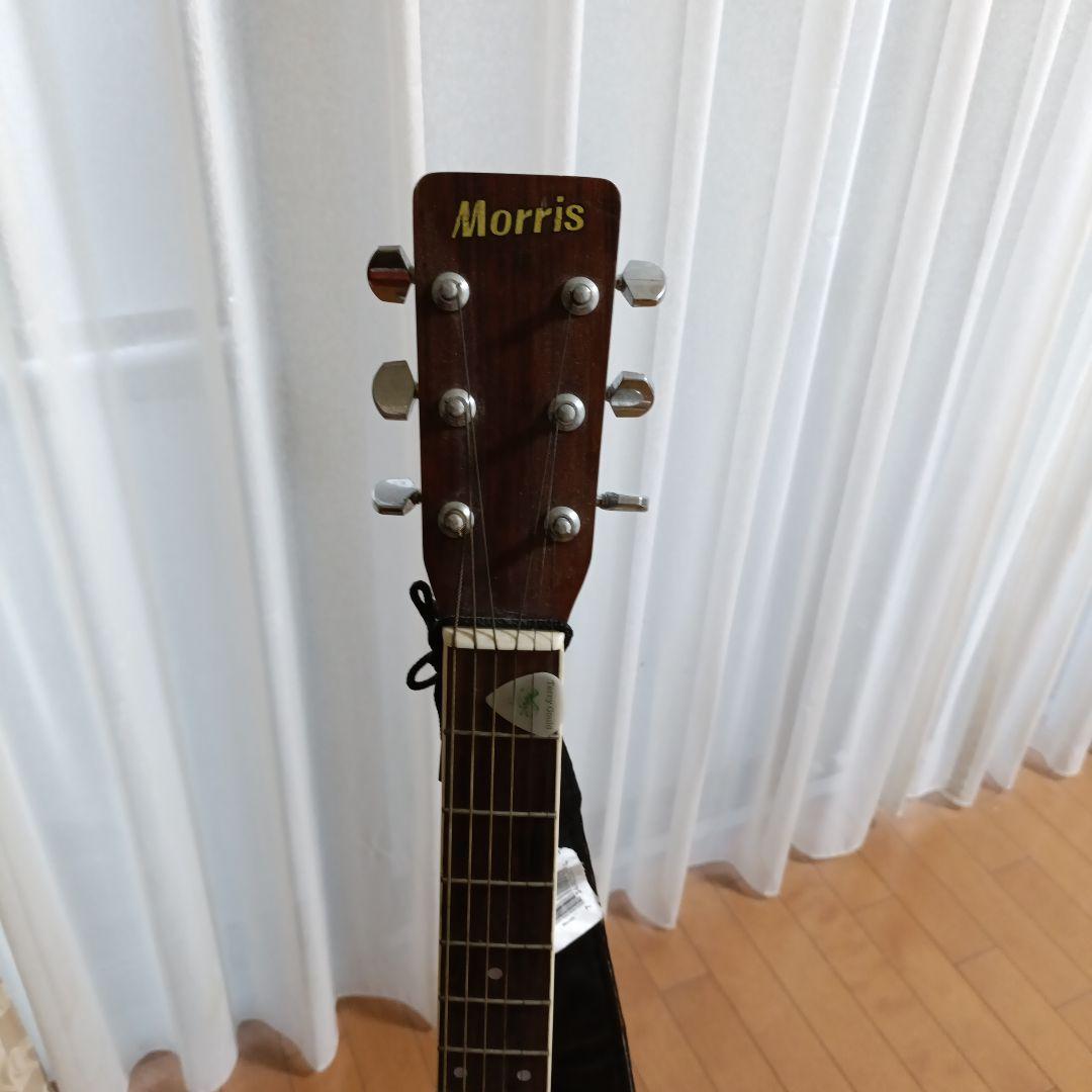 Morris アコースティックギター ブラウン