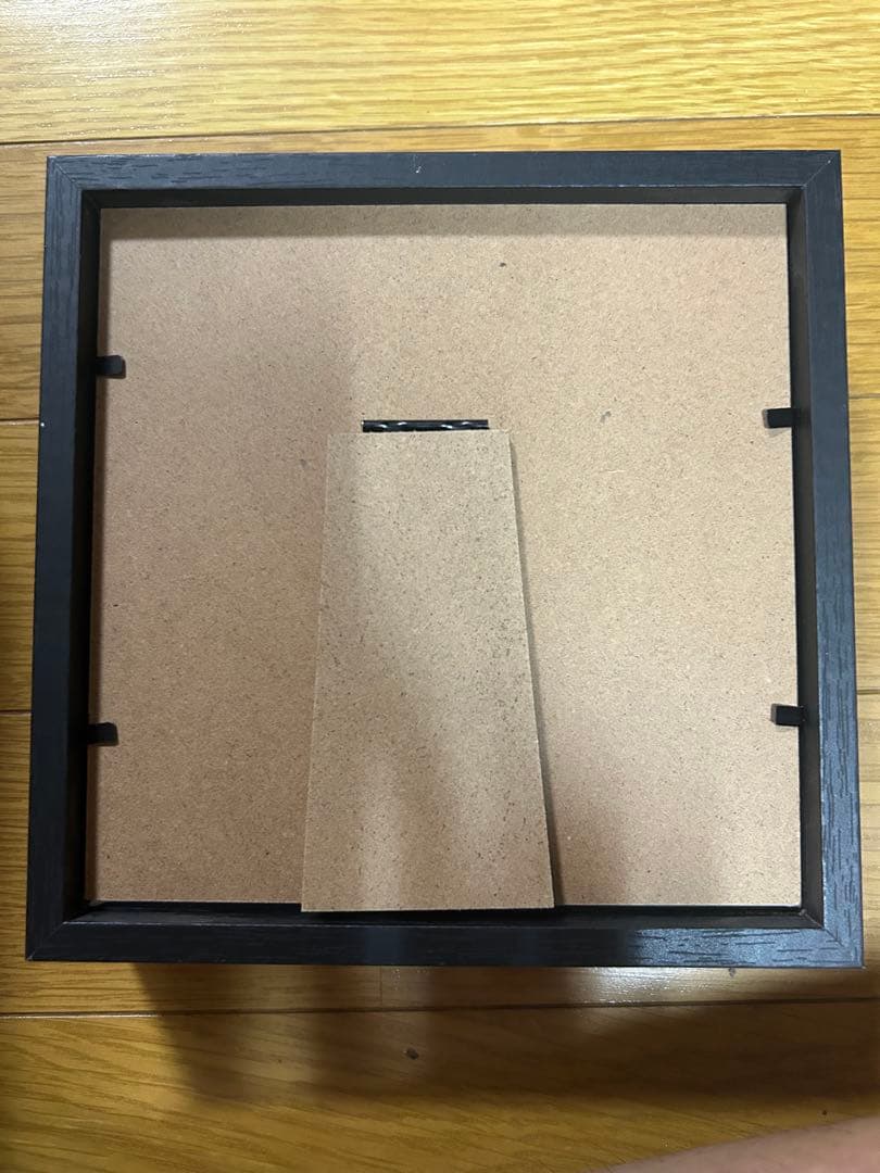 Angel's Wings 蝶の標本 黒フレーム