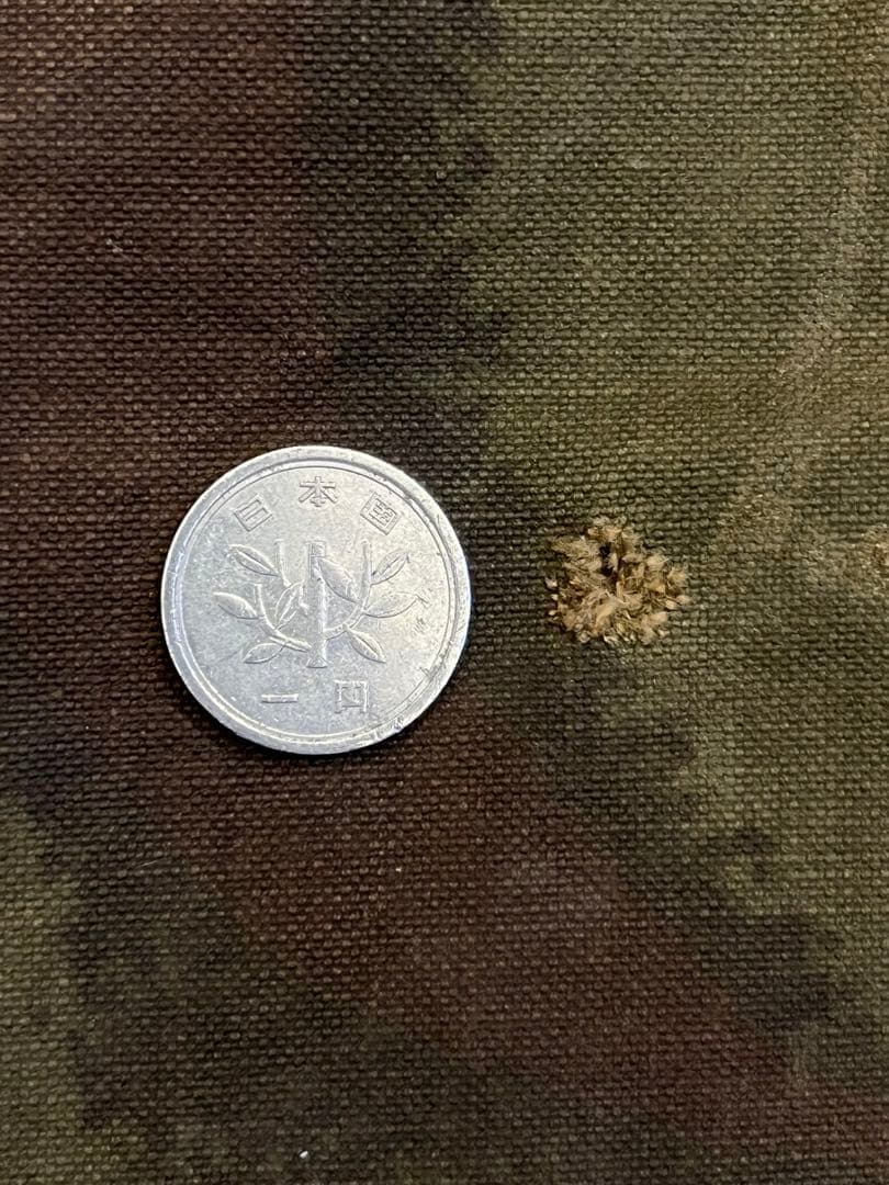 ハンガリー軍　パリパリ 軍幕　ポンチョテント　1 枚