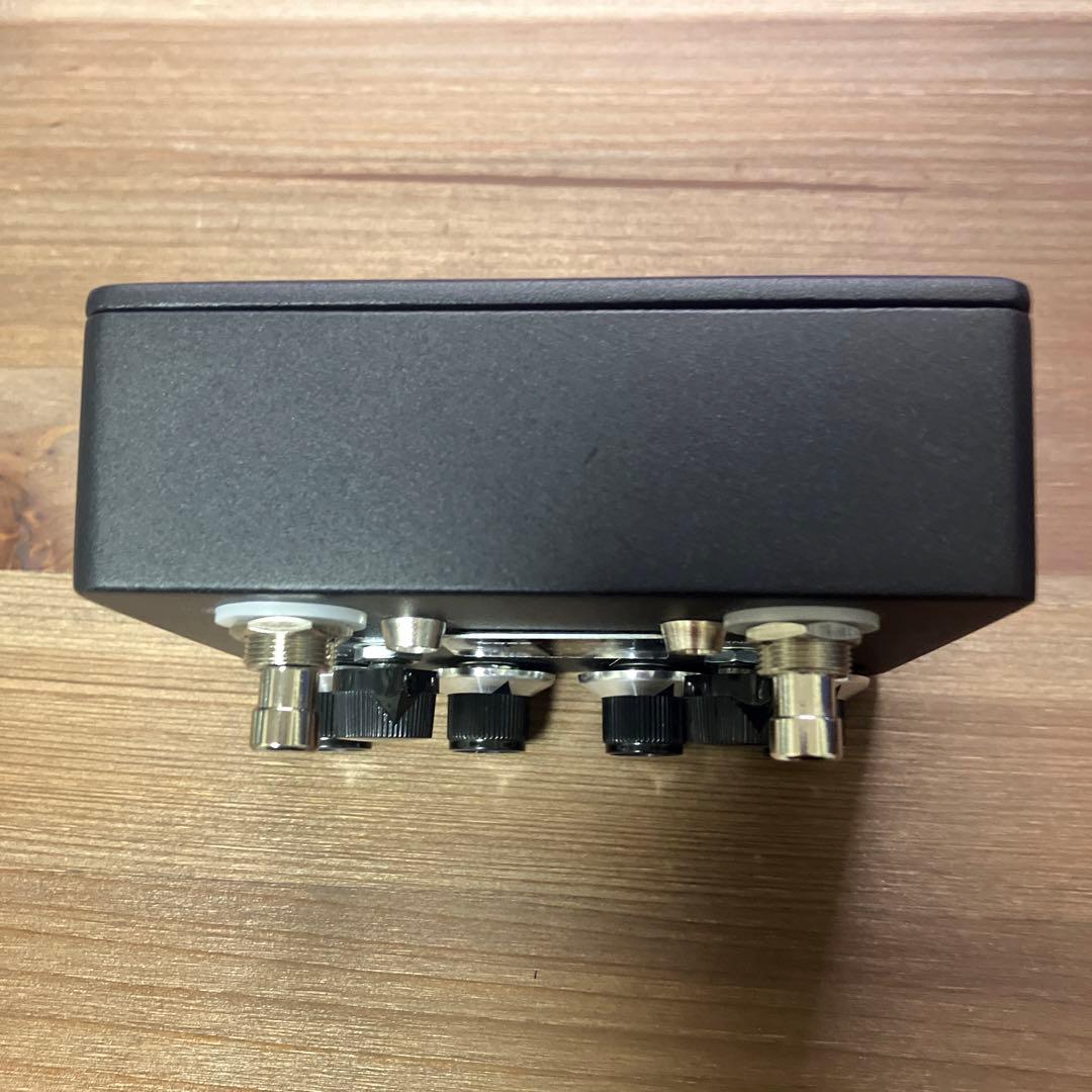 browne amplification PROTEIN クローン