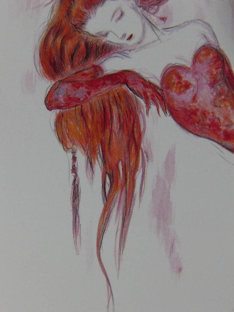 天野喜孝、ノイシュとディアドラ、希少な額装用画集画、新品高級額装付、状態良好