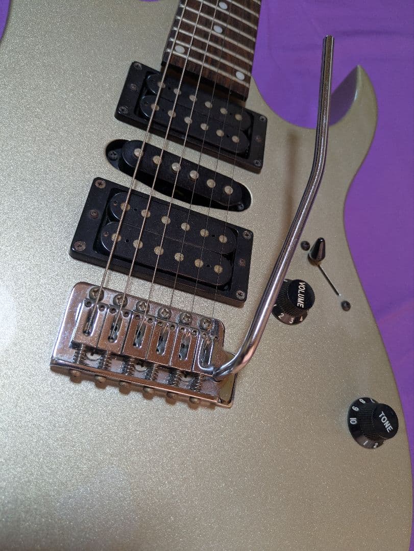 アイバニーズ RG シリーズ シルバー