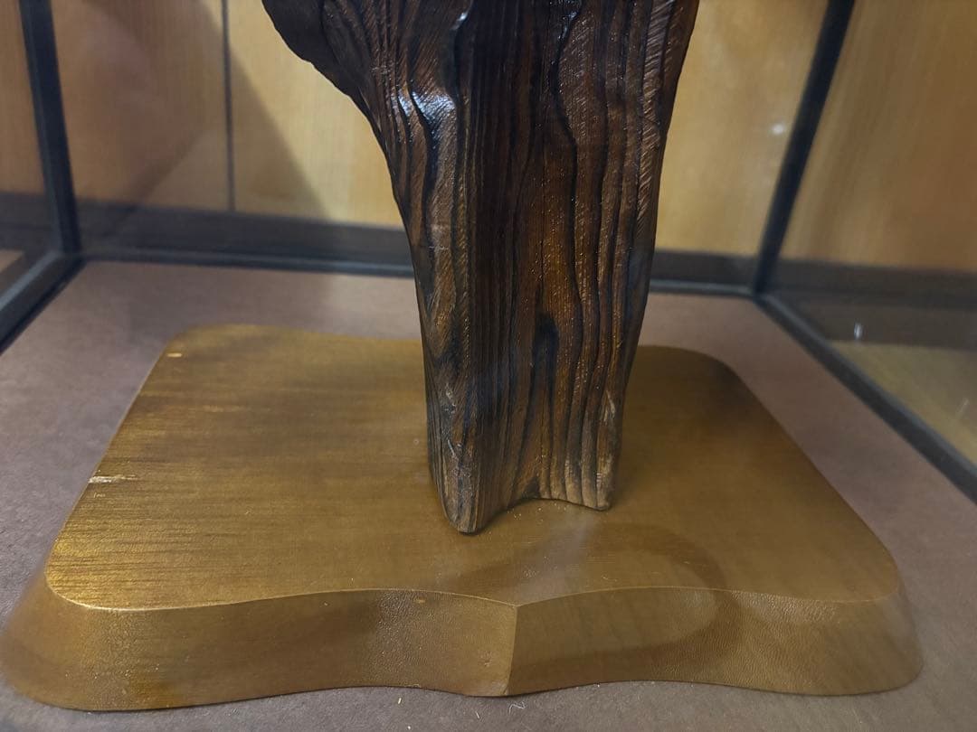 極楽鳥の剥製 置物 ガラスケース入り