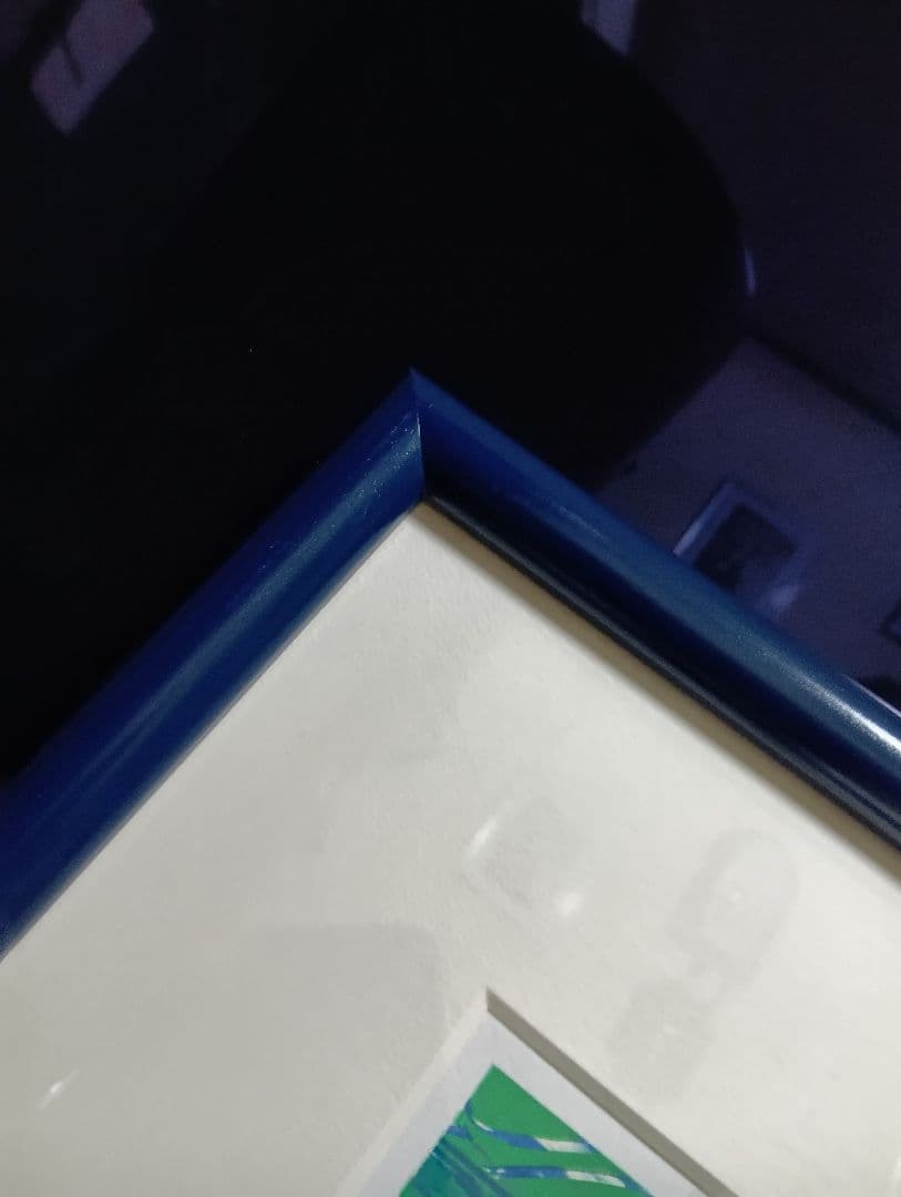 希少品　エリック・カール　リトグラフ　『La Famille』　513/1000