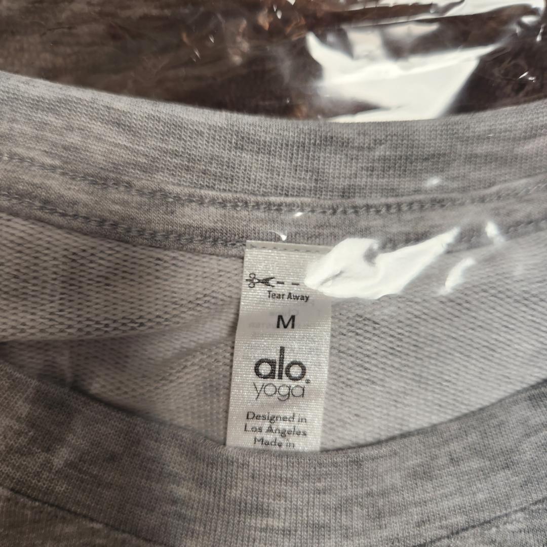 alo yoga Dream Crop Short Sleeve M ドーブグレ