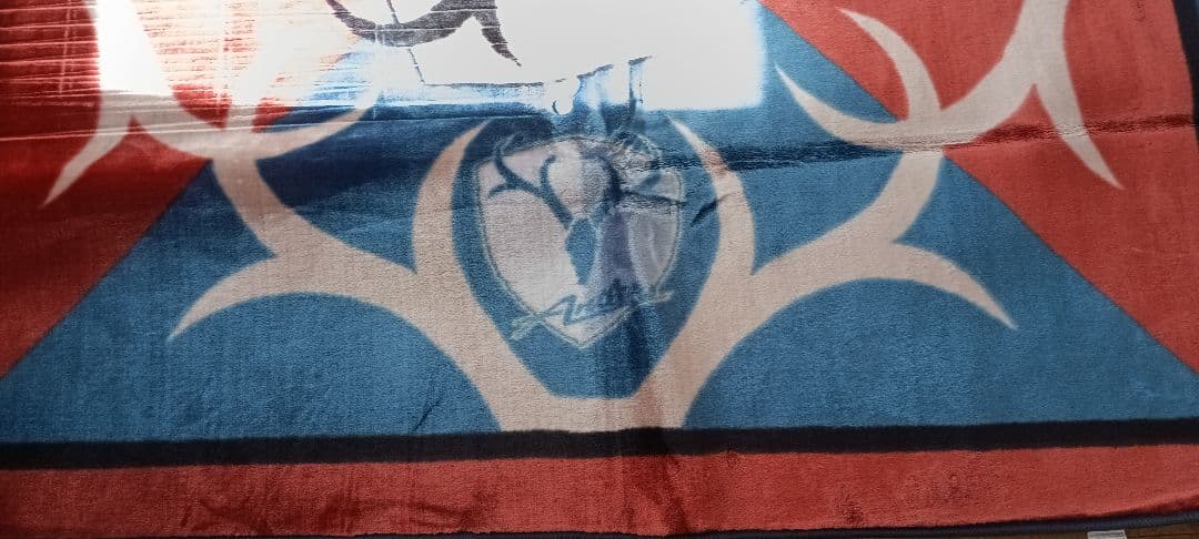 鹿島アントラーズ 　ジュータン　カーペット