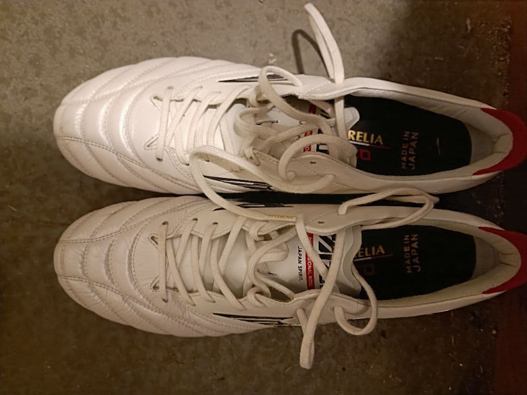 モレリアネオjapan