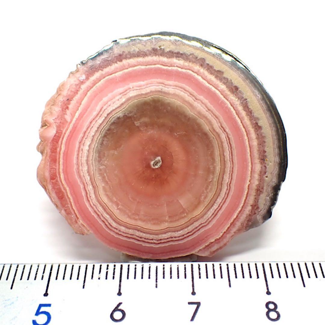 【アルゼンチン産】インカローズ