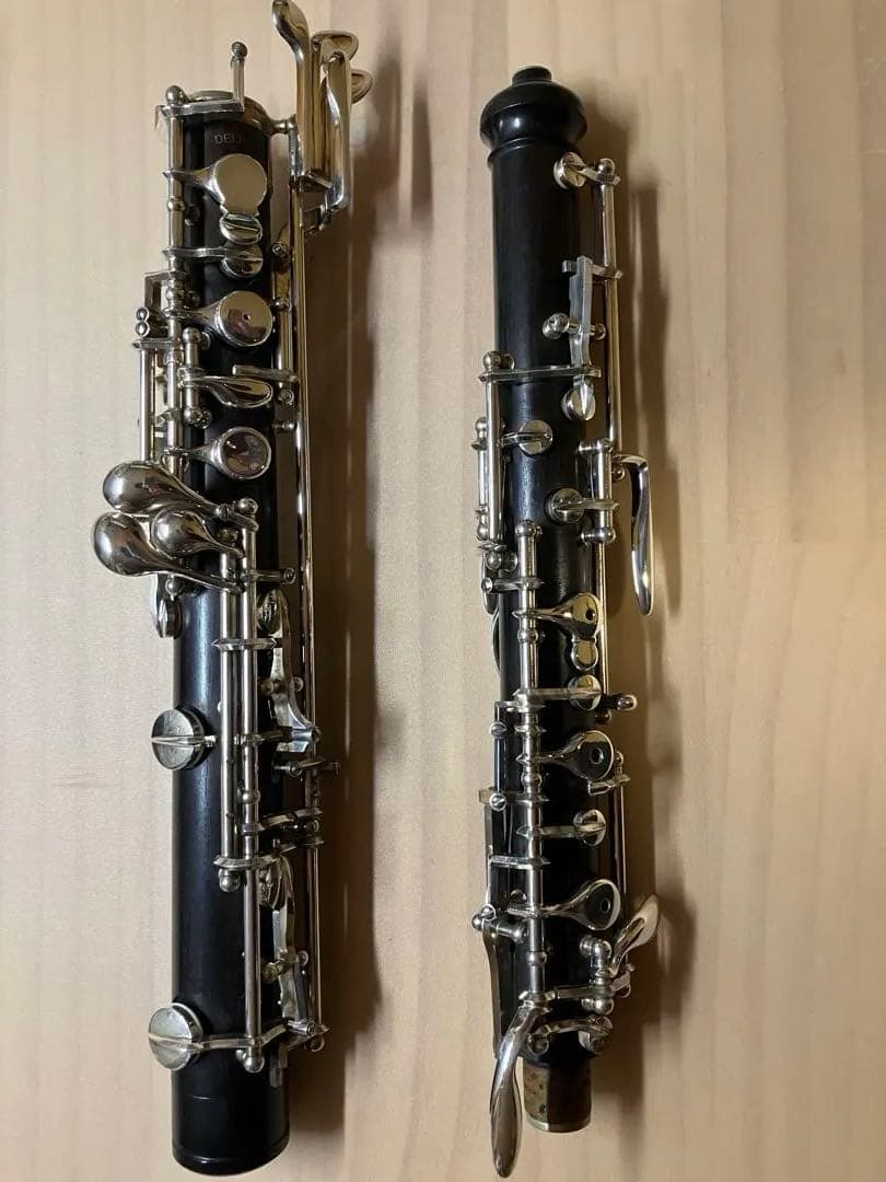 デルフィーヌ　SYMPHONIEベル付き