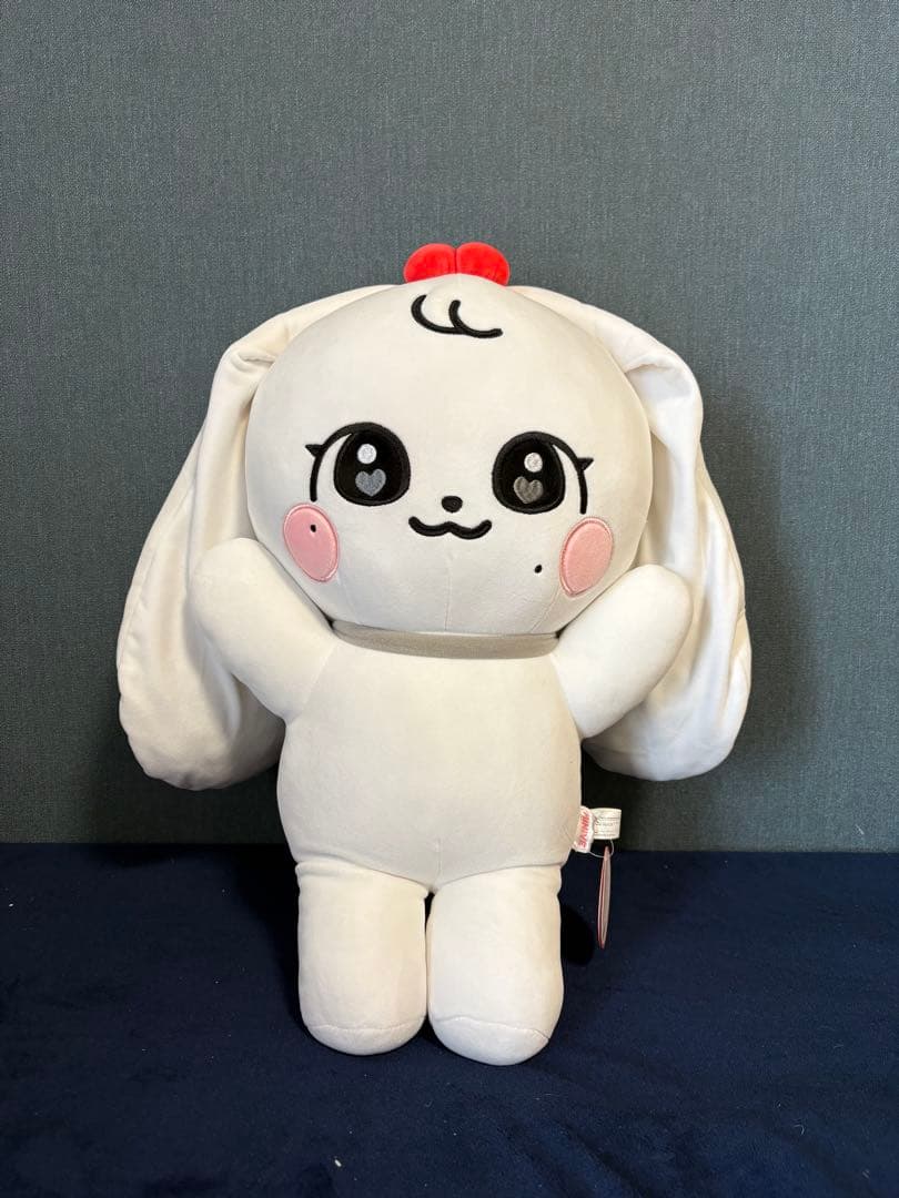 【月末最終値下げ】IVE minive ウォニョン cherry セット売り