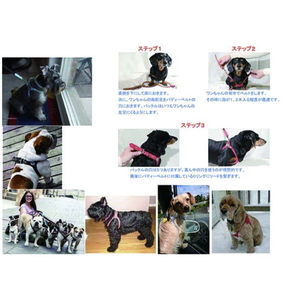 875☆ＢＢベルト バディーベルト 4.5号 キャラメル カスタマイズ