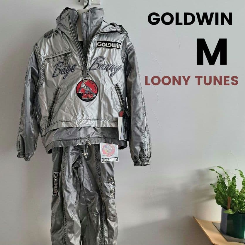 【希少】GOLDWIN スキーウェア ルーニーチューン　上下セット
