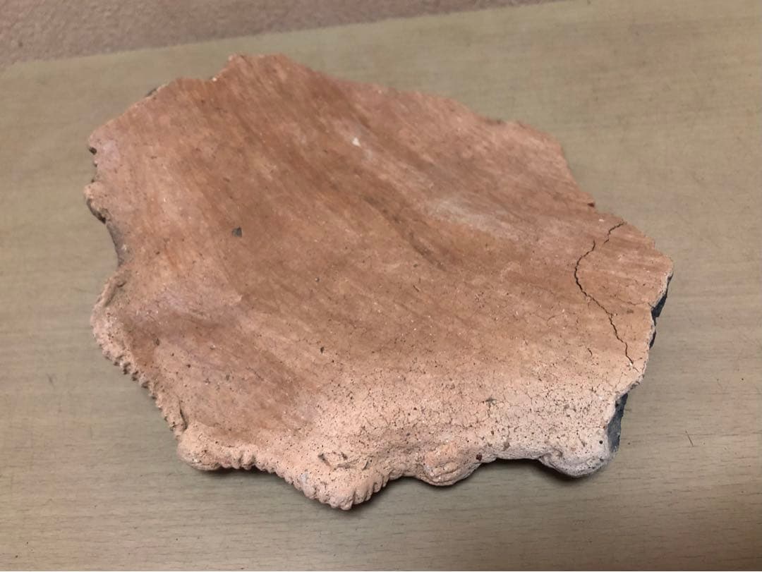 「土器の欠片 縁の部分 No.697」です。