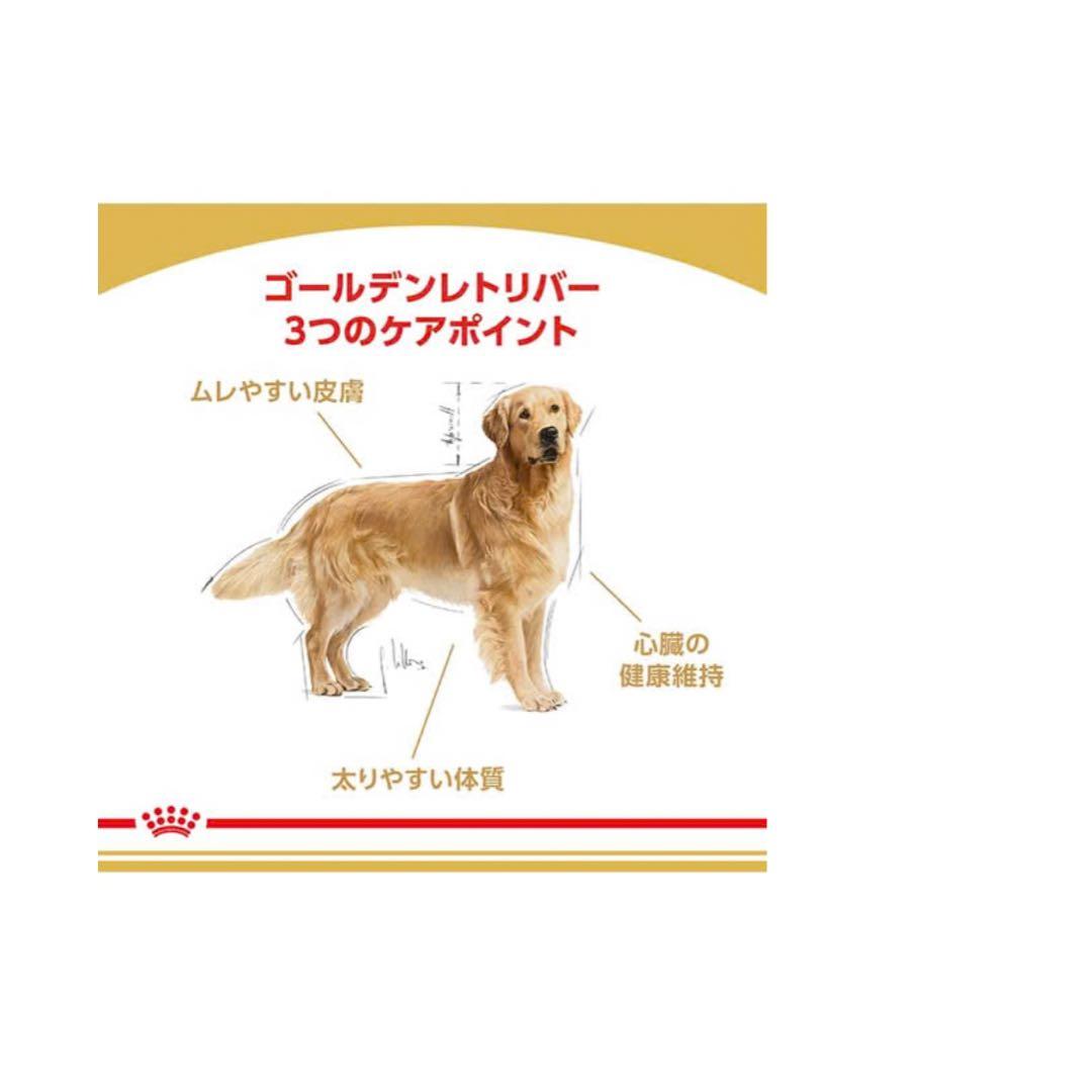  CANIN ゴールデンレトリバー 12kg