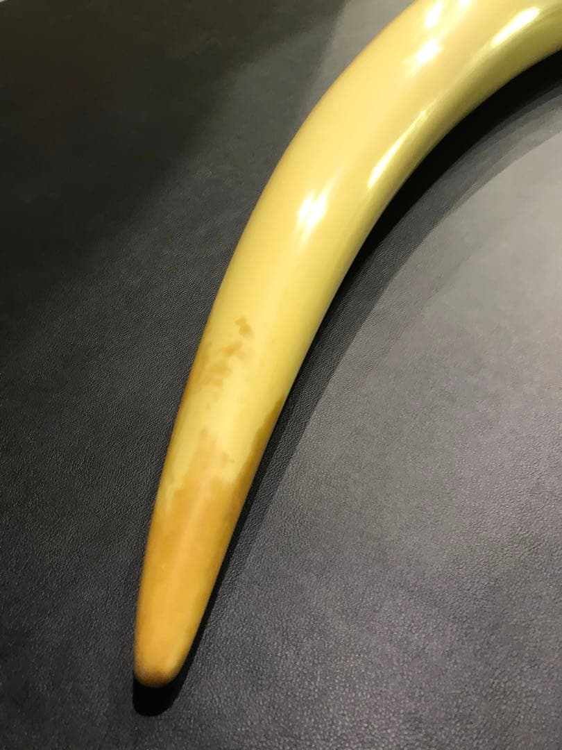 象牙風置物 レプリカ 練り物　オブジェ 一本牙 全長100cm