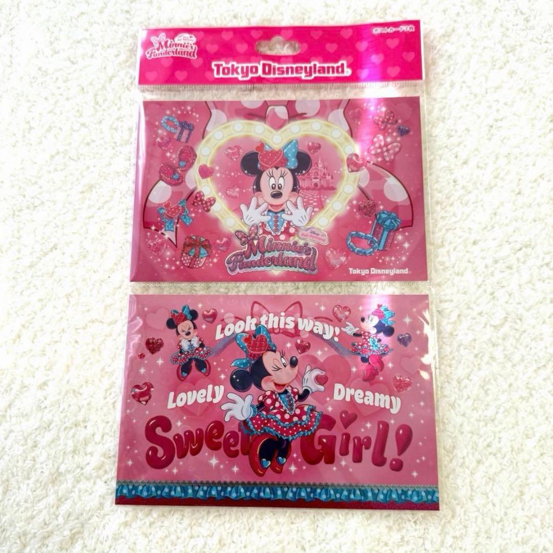 ミニーのファンダーランド　20点