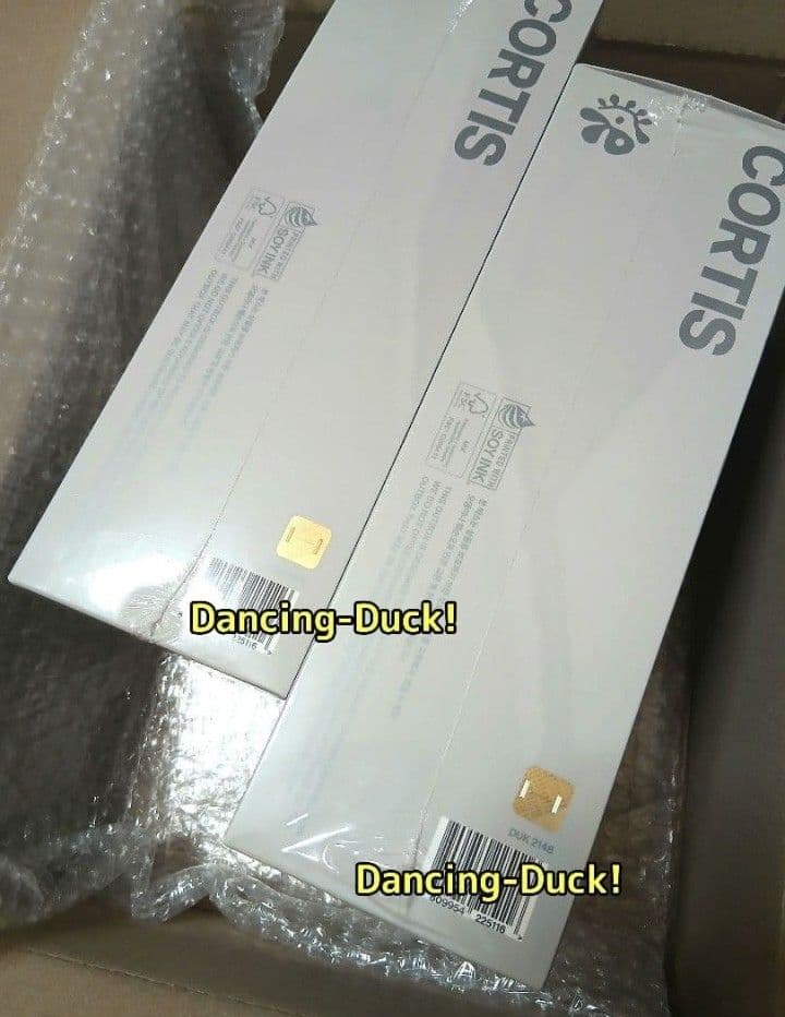 2個セット 新品未開封 2026 シーグリ CORTIS