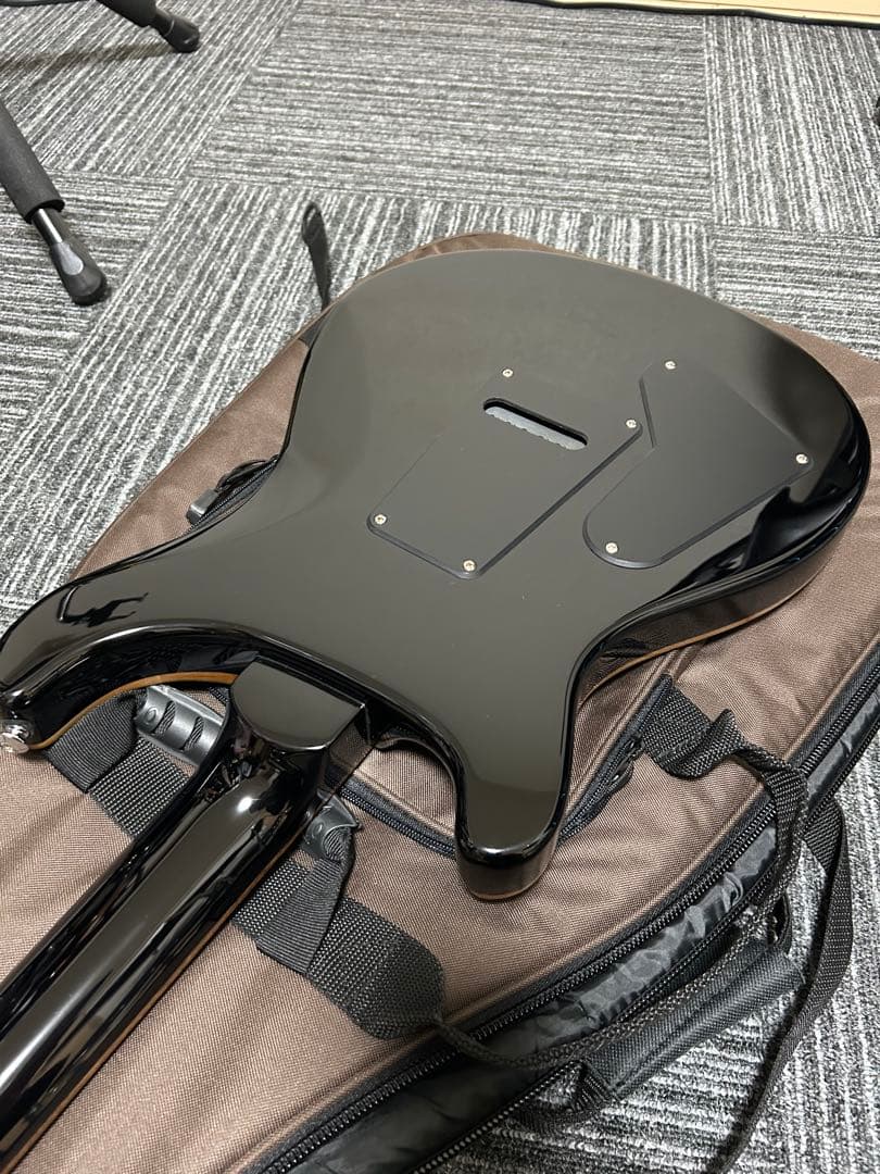 PRS SE Custom 24 ロックペグ交換済み