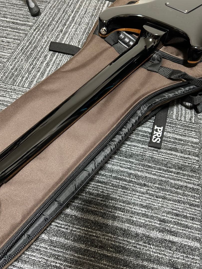 PRS SE Custom 24 ロックペグ交換済み