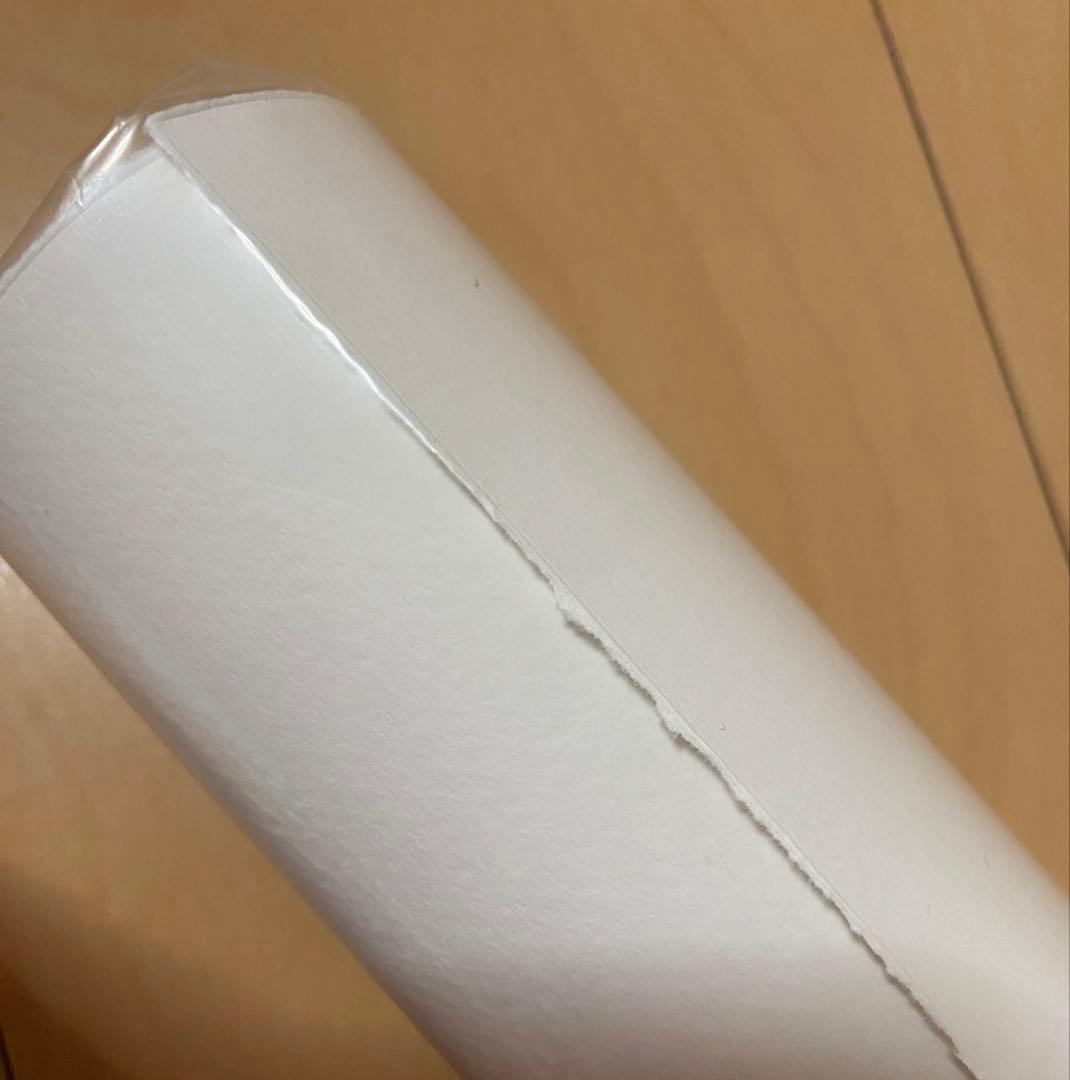 新品未使用★ミナペルホネン imagine ポスター＊カード付き