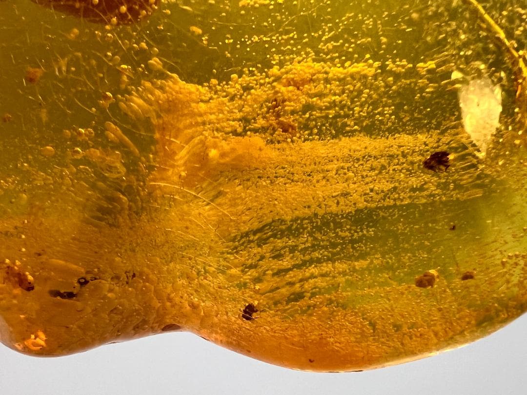 ビックサイズ　虫入り琥珀　大量な気泡を内包　バルティックアンバー　バルト海沿岸