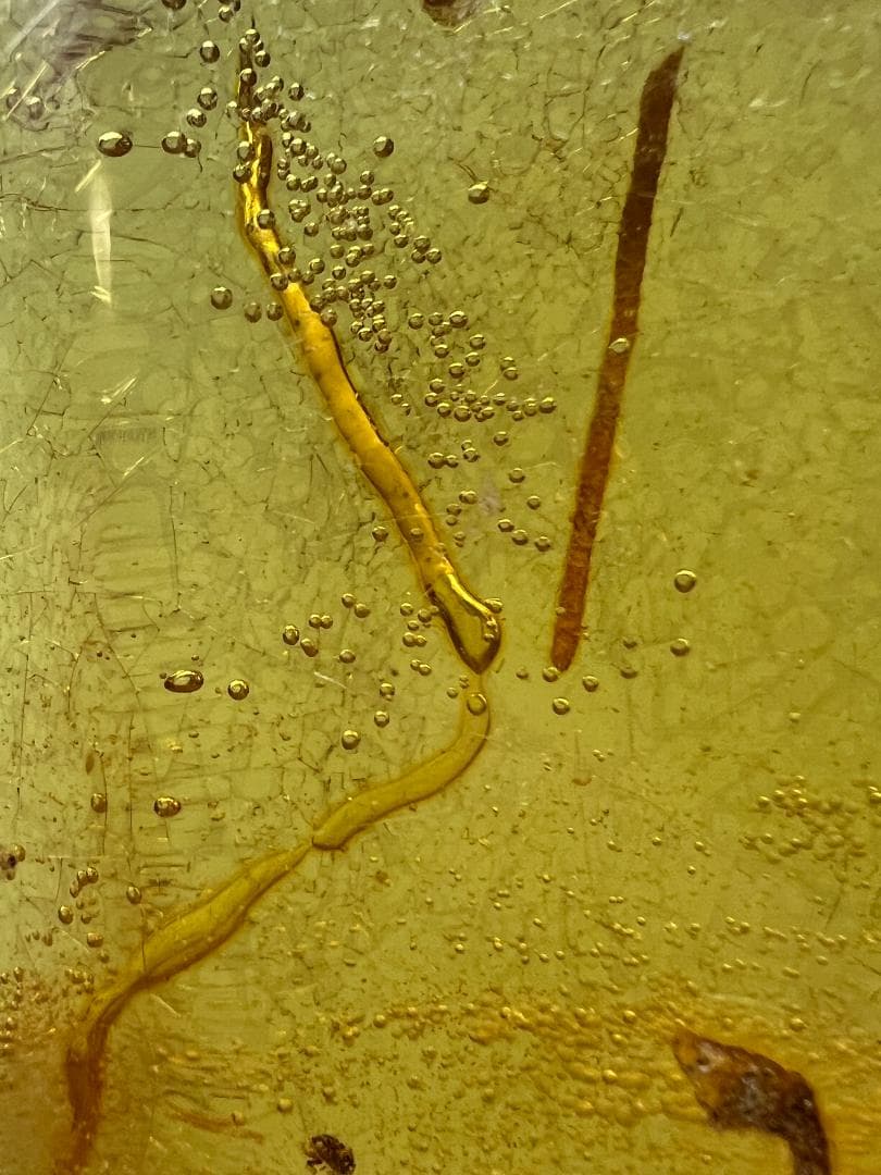 ビックサイズ　虫入り琥珀　大量な気泡を内包　バルティックアンバー　バルト海沿岸