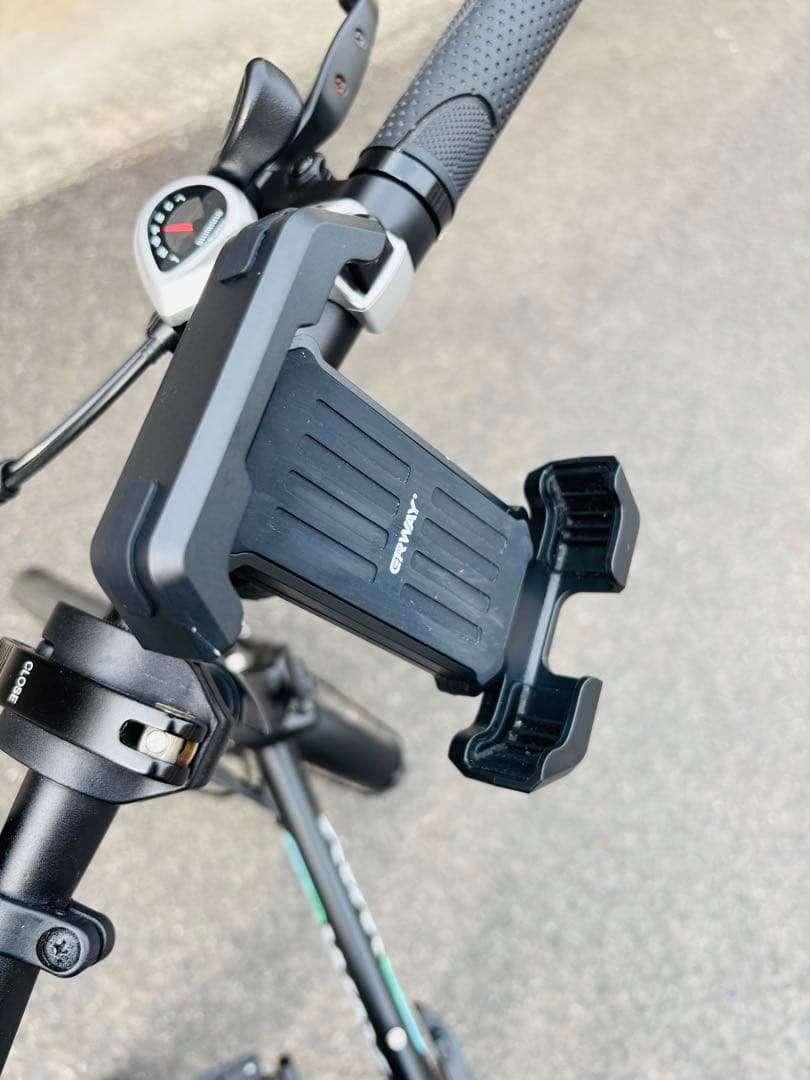 ERWAY 電動折りたたみ自転車 ブラック