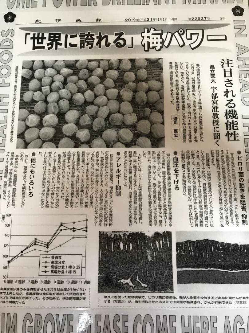 goodman123様　昔ながらのすっぱい梅干×6