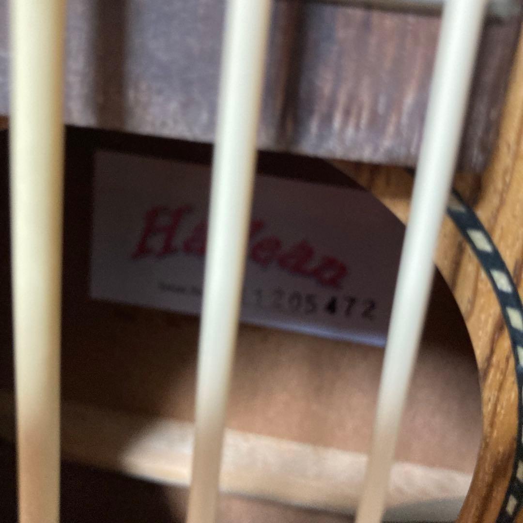 Hadean ウクレレベース　ハードケース付き