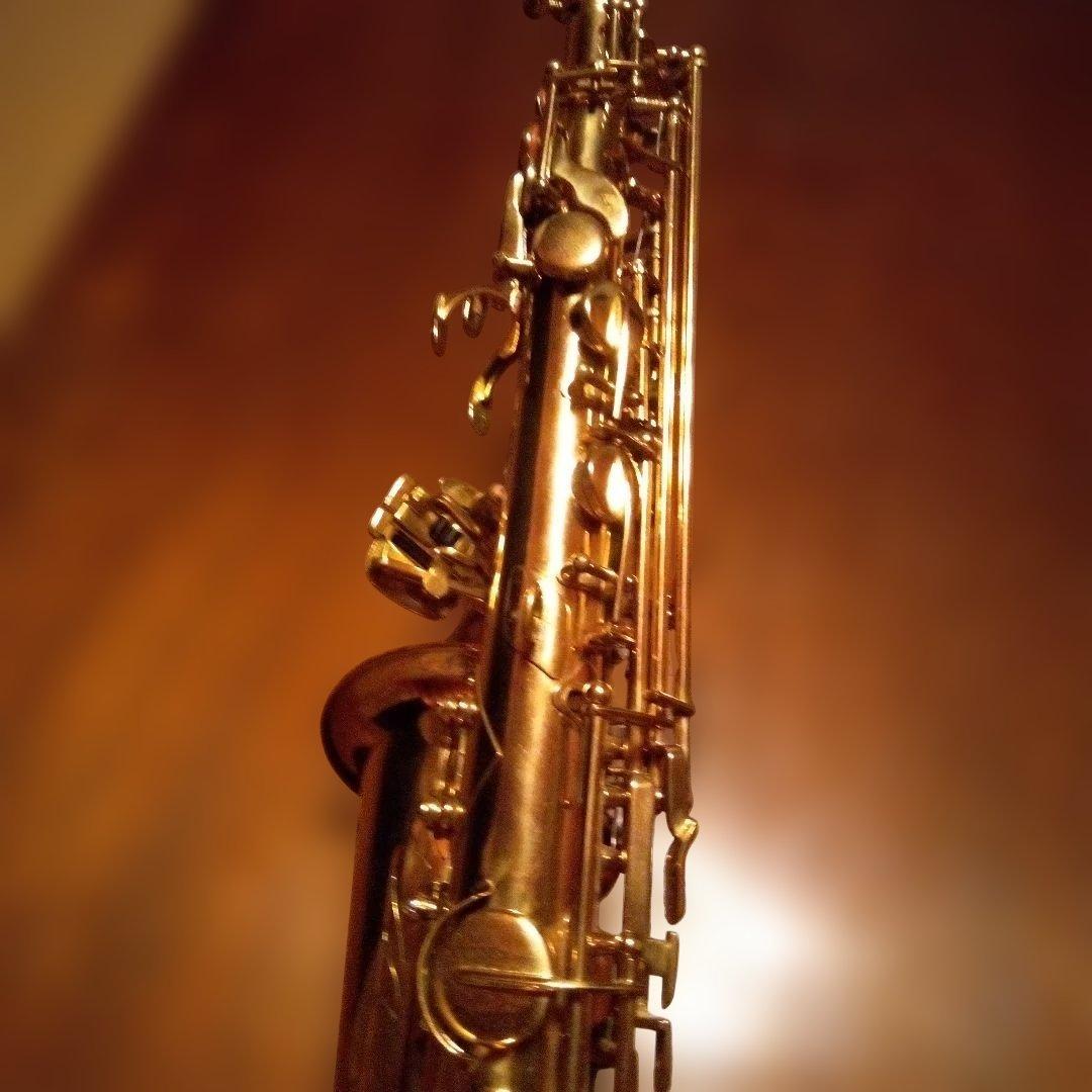 メイビスアルトサックス