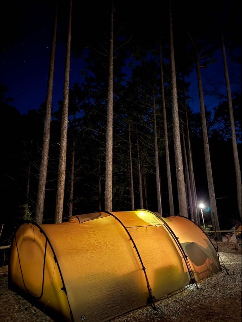 used THE FREE SPIRITS Watchtowerコヨーテ