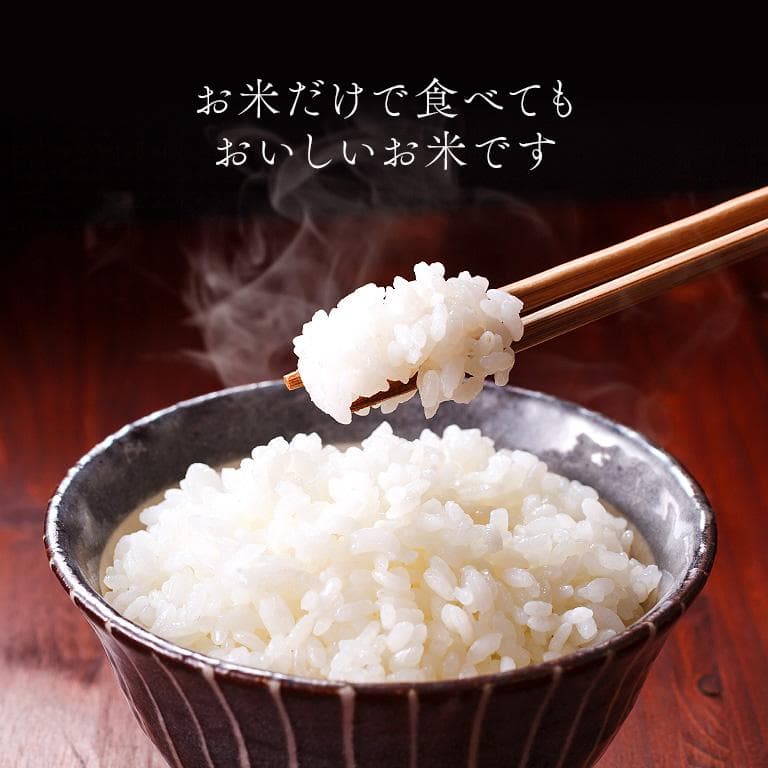 宮城県産 ひとめぼれ 玄米30kg 精米可能（27㎏） 令和7年産 沖縄離島不可