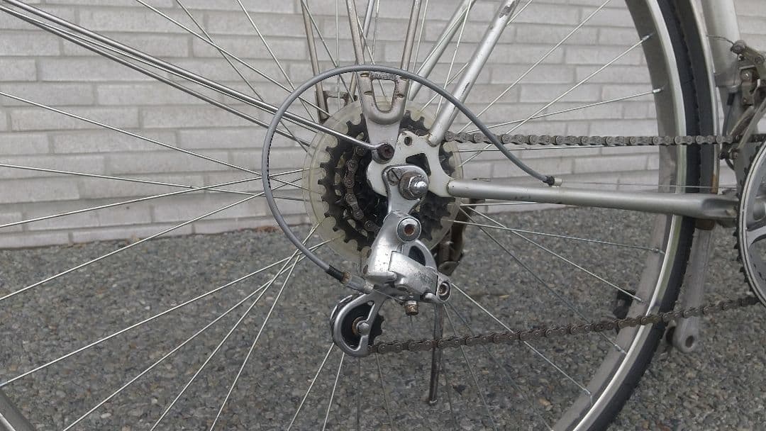 片倉シルク SILK ROAD スポルティーフ シルバー