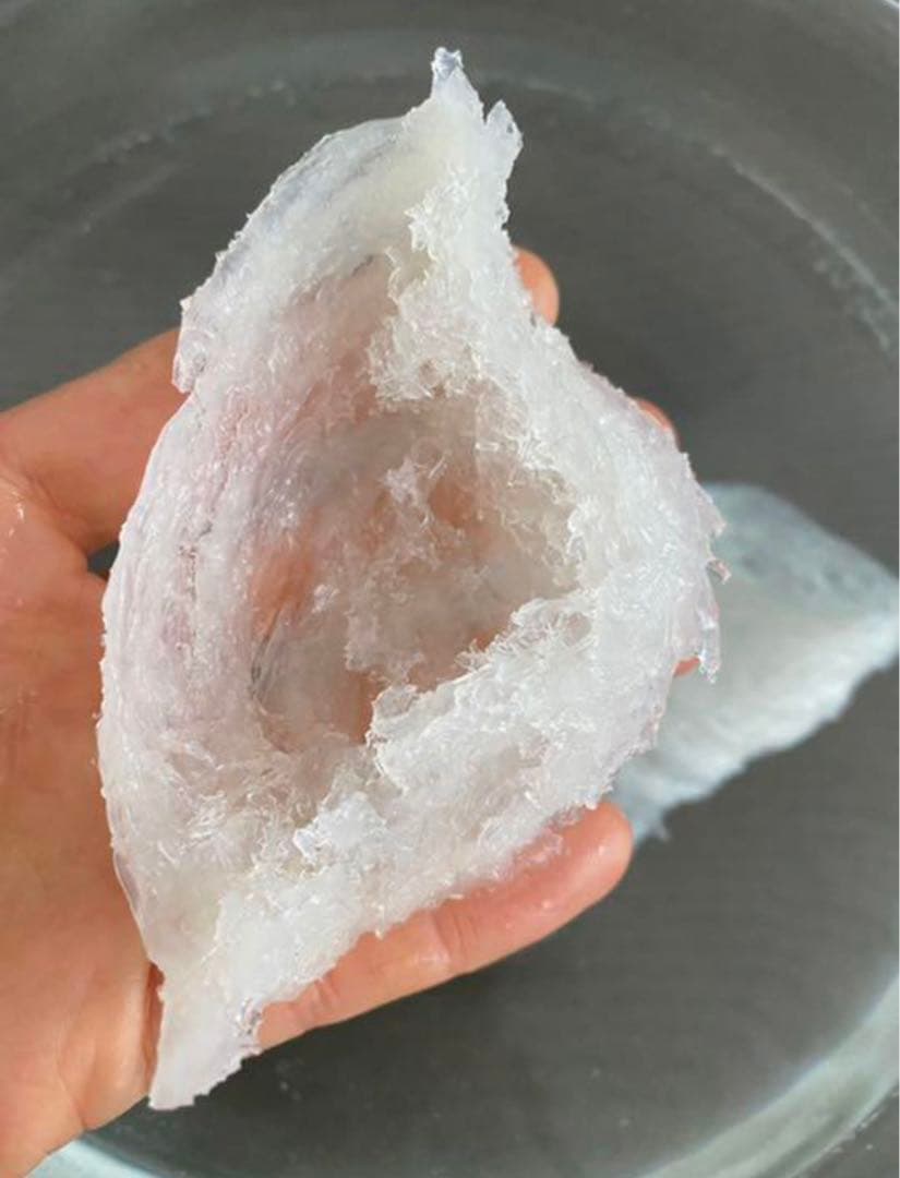 正規品　ツバメの巣