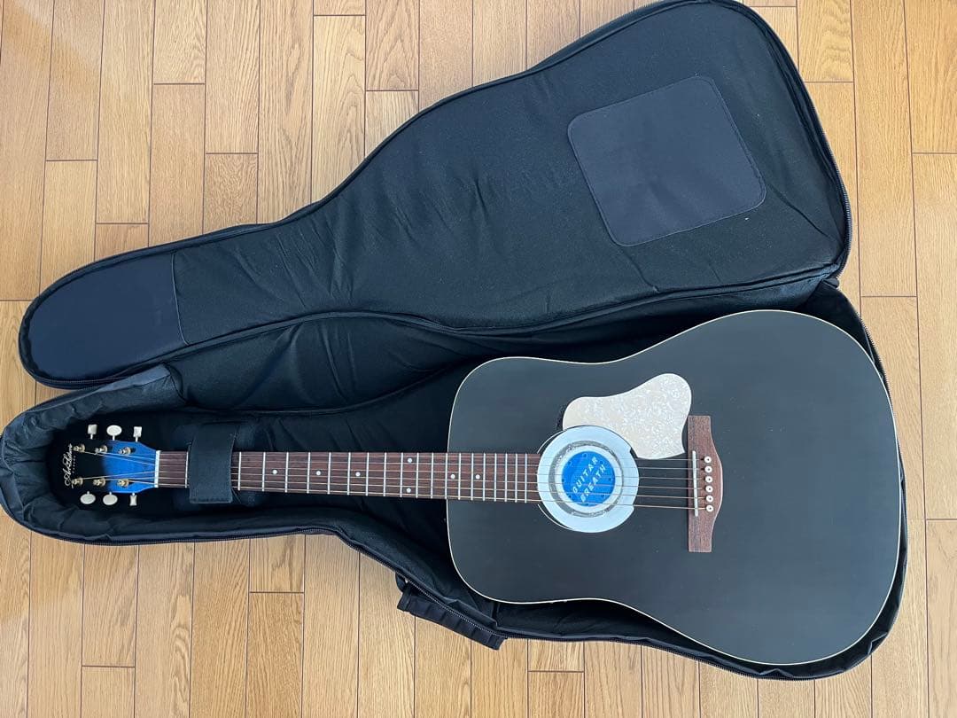 A*f様 Art&Luthier Americana Q1T アコギ エレアコ
