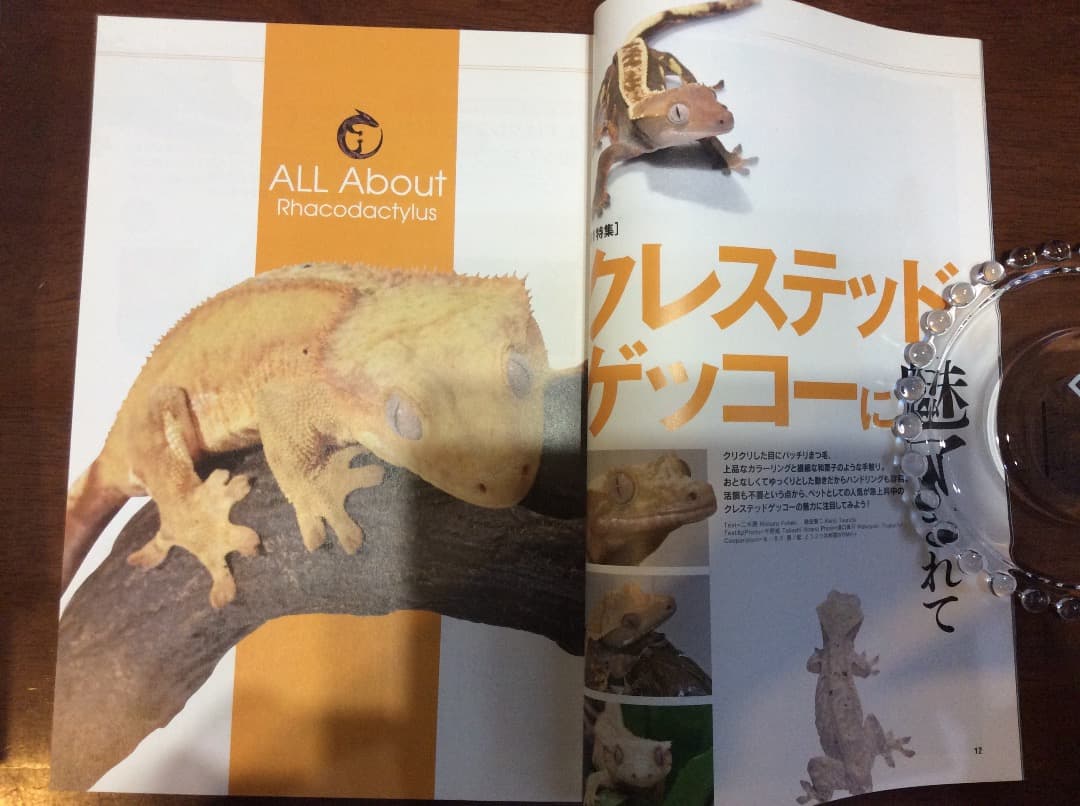 レプタイルズ Fan Vol.1〜5 全5冊 まとめ売り コスミック出版