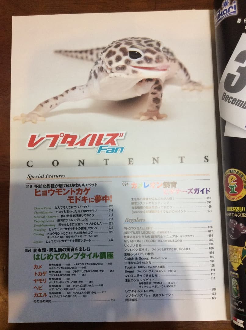 レプタイルズ Fan Vol.1〜5 全5冊 まとめ売り コスミック出版