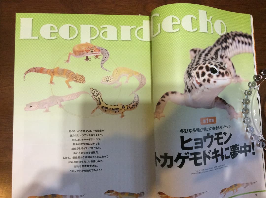 レプタイルズ Fan Vol.1〜5 全5冊 まとめ売り コスミック出版