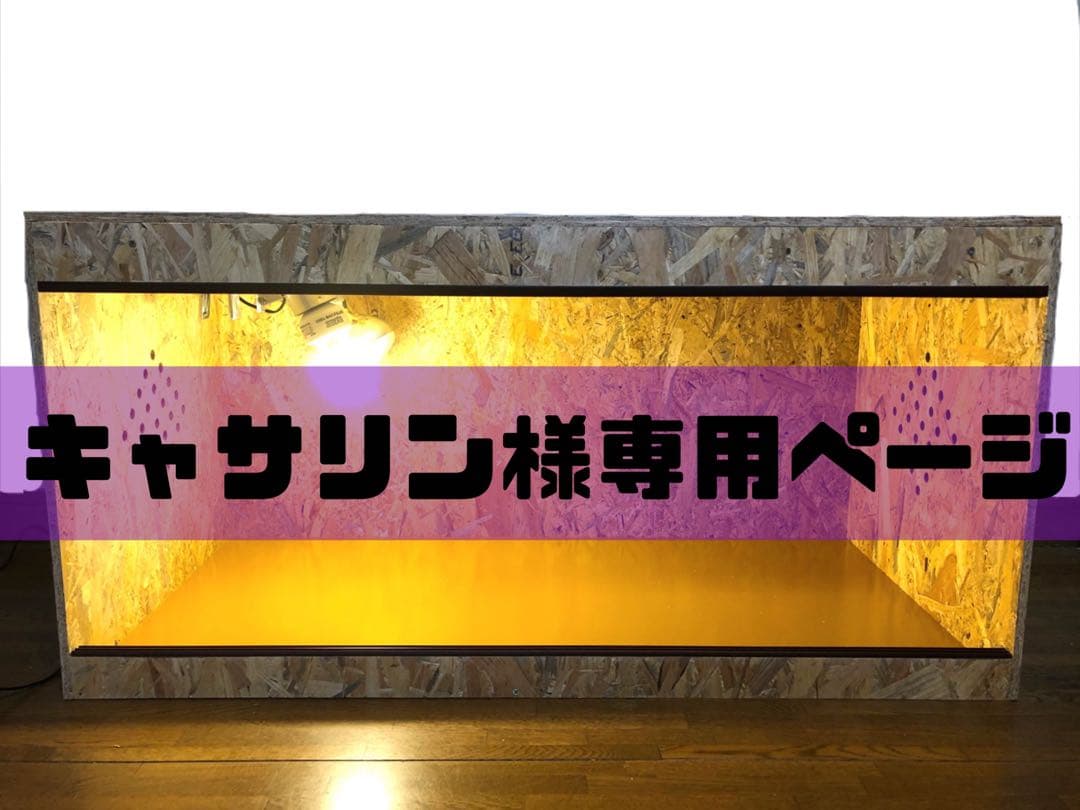 キャサリンページ