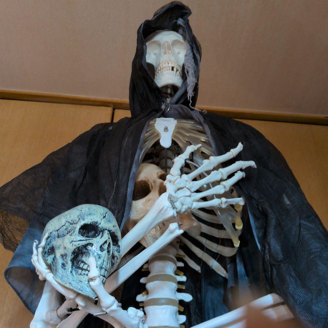 等身大人体骨格模型　 ハロウィン装飾　ドッキリなどにどうぞ！