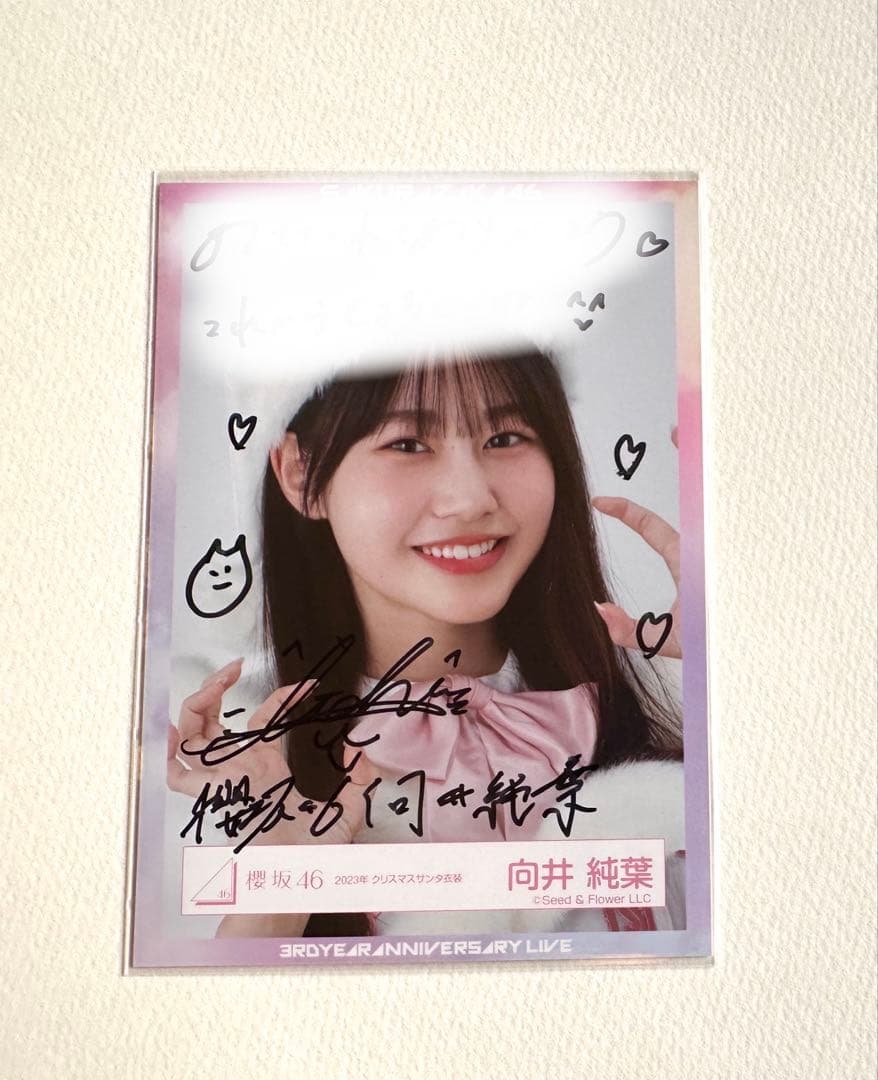 櫻坂46 向井純葉 直筆 生写真 クリスマス衣装2023 ヨリ